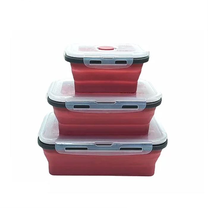 Buy LEXNGO 3pcs Silicone Lunch Boxes, Foldable Food Storage Containers